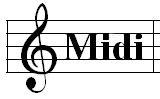 Midi section